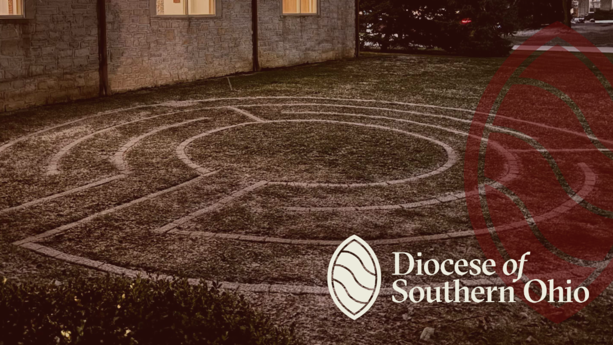 Dismantling Racism training – March 2025