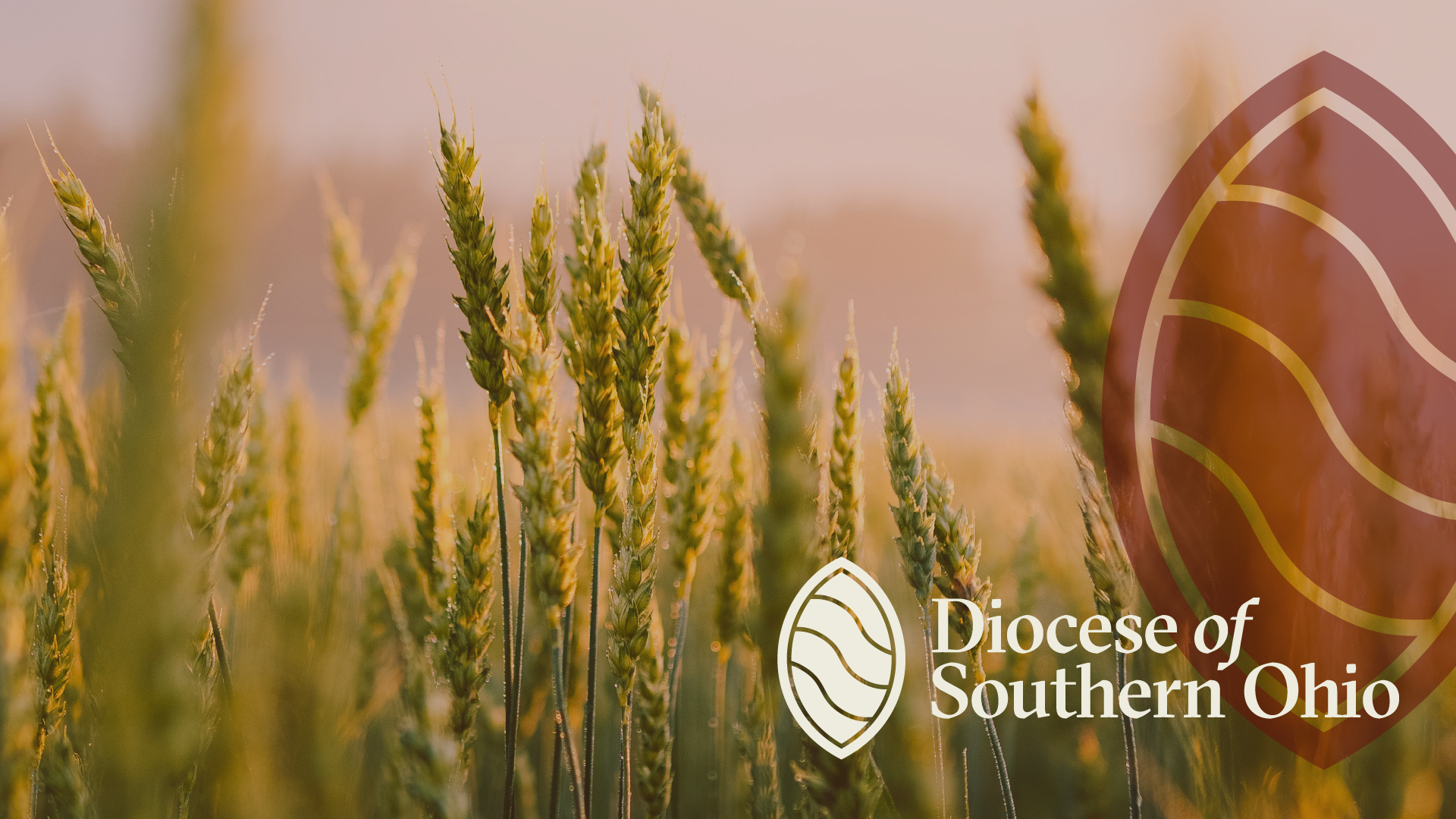 You’re Invited: Chrism Mass & Renewal of Ordination Vows