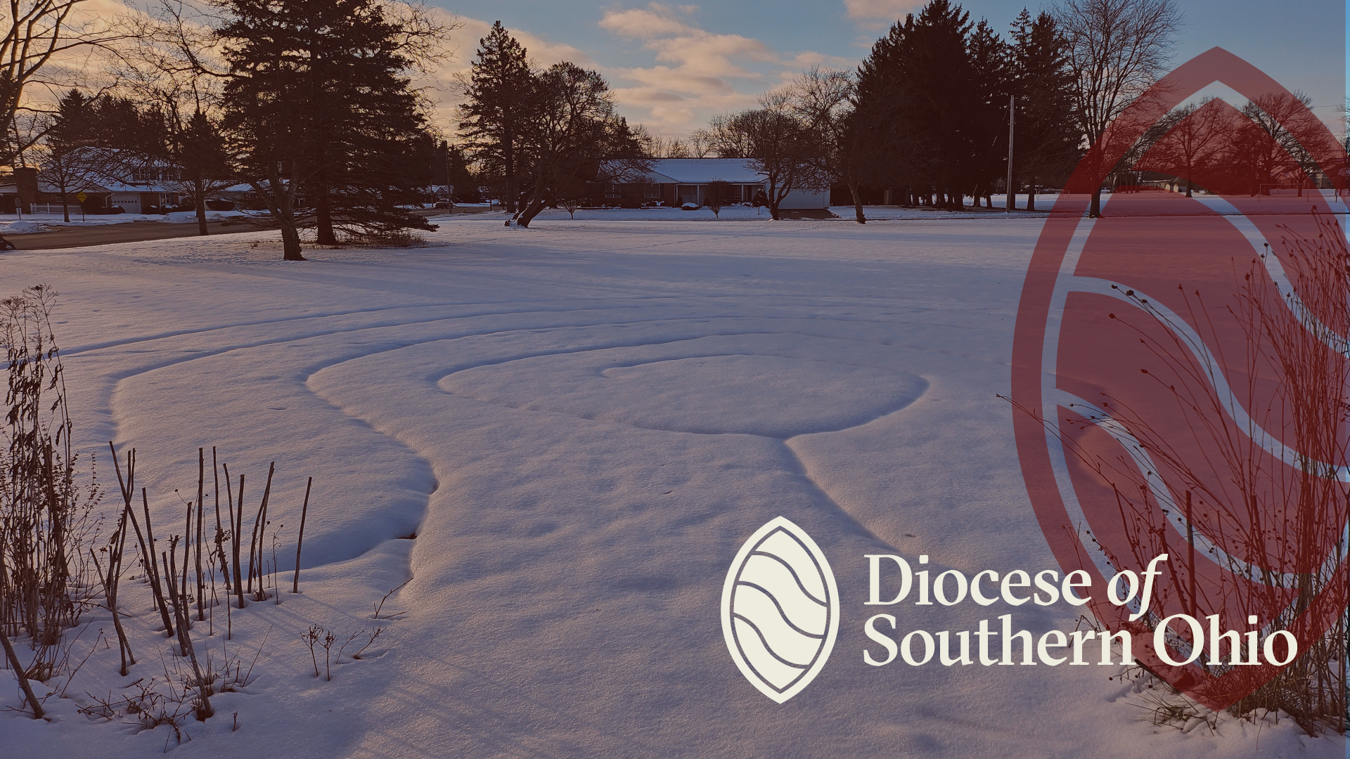 Dismantling Racism Training: April 2025