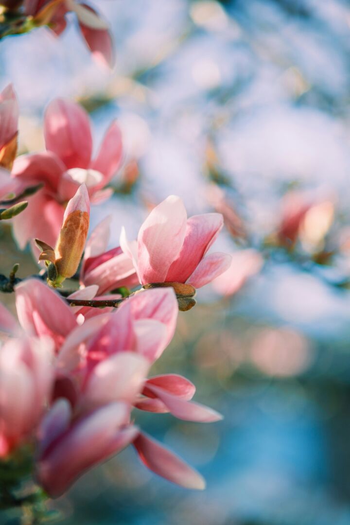 From Bishop White: An Important Update on Diocesan Staffing