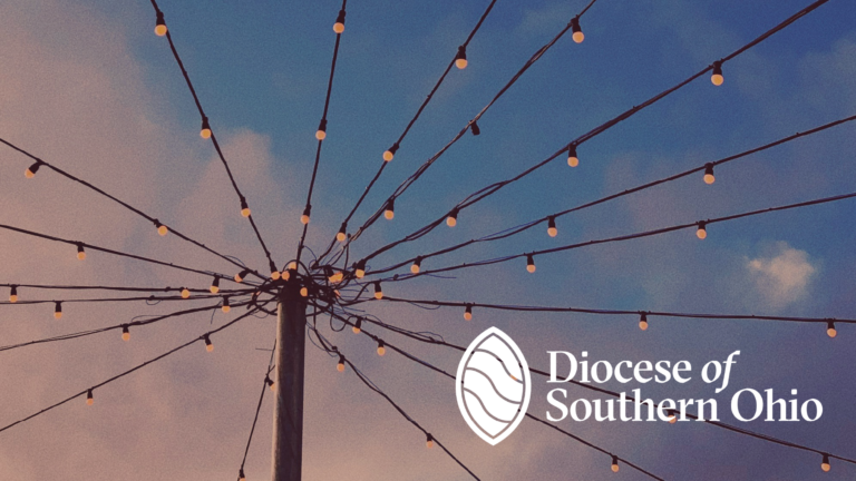 You’re Invited: Wardens Network Zoom Calls